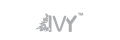 IVY 頸前路釘板系統