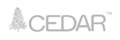 CEDAR 脊柱后路內固定系統