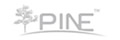 PINE 脊柱內固定系統